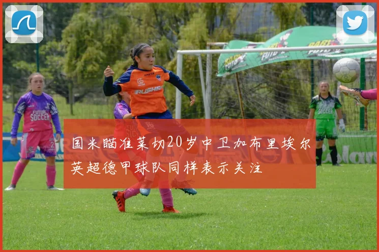国米瞄准莱切20岁中卫加布里埃尔英超德甲球队同样表示关注